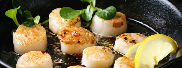 Pan-Seared Scallops with Lemon Butter Sauce
