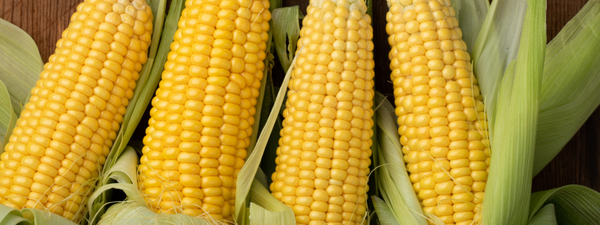 Caribbean-Style Creamy Coconut Corn