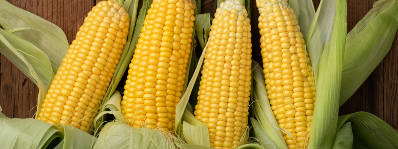 Kitchen Hack: Remove Corn Kernels Effortlessly with a Bundt Pan 🌽