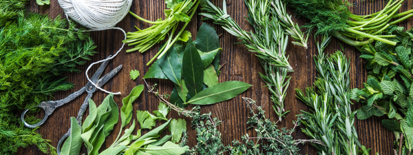 🧪 The Hack: Store Herbs Like Flowers