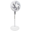 Whirlwind 18" 6 Blade Pedestal Fan
