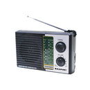 Blaupunkt Multi-band AM/FM Radio